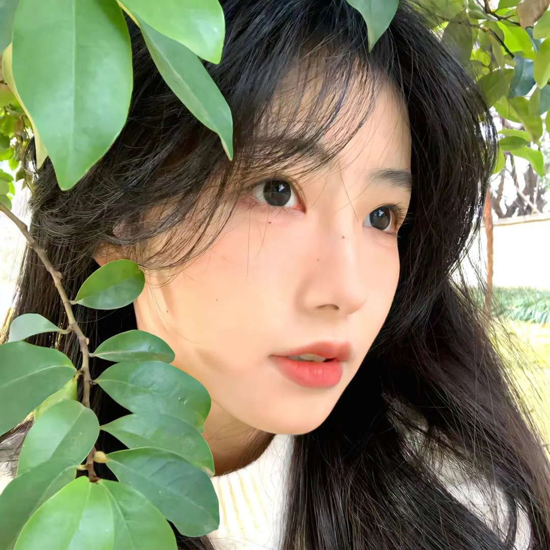 冰山上的来客